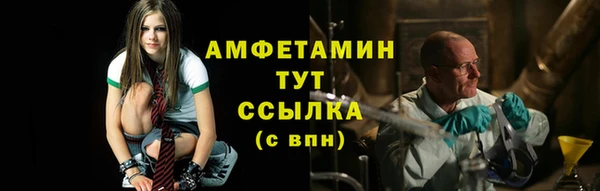 прущие грибы Беломорск