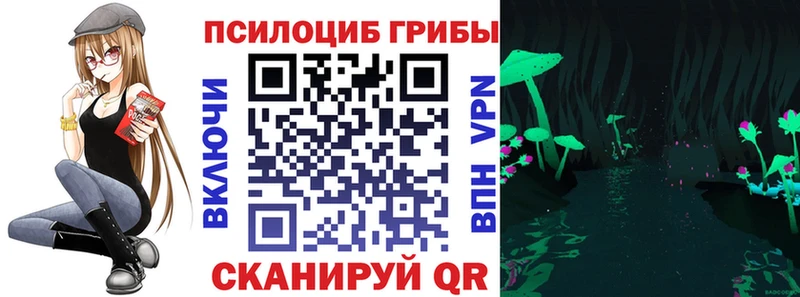 Псилоцибиновые грибы прущие грибы Беломорск